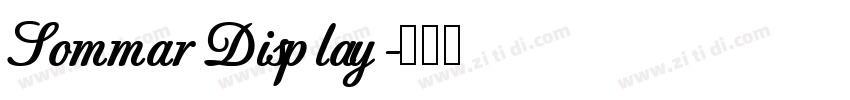 Sommar Display字体转换